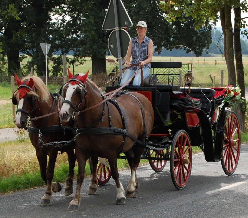 Ellen Hochzeit Herbert